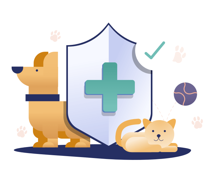 Pet-Insurance-min